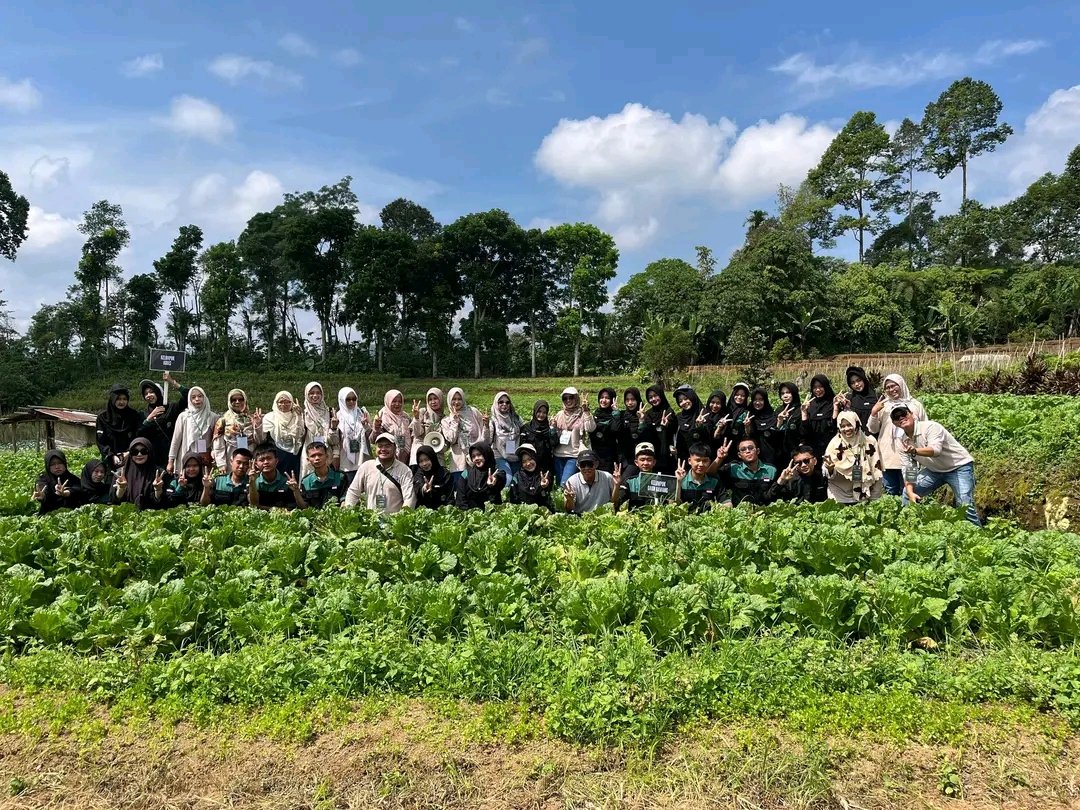 Siswa MAN 1 Lahat Belajar Langsung Metode Pertanian di Kaki Gunung Dempo