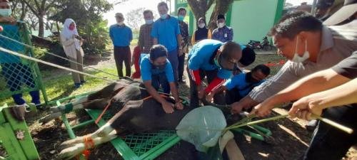 WhatsApp-Image-2021-07-22-at-11.58.23